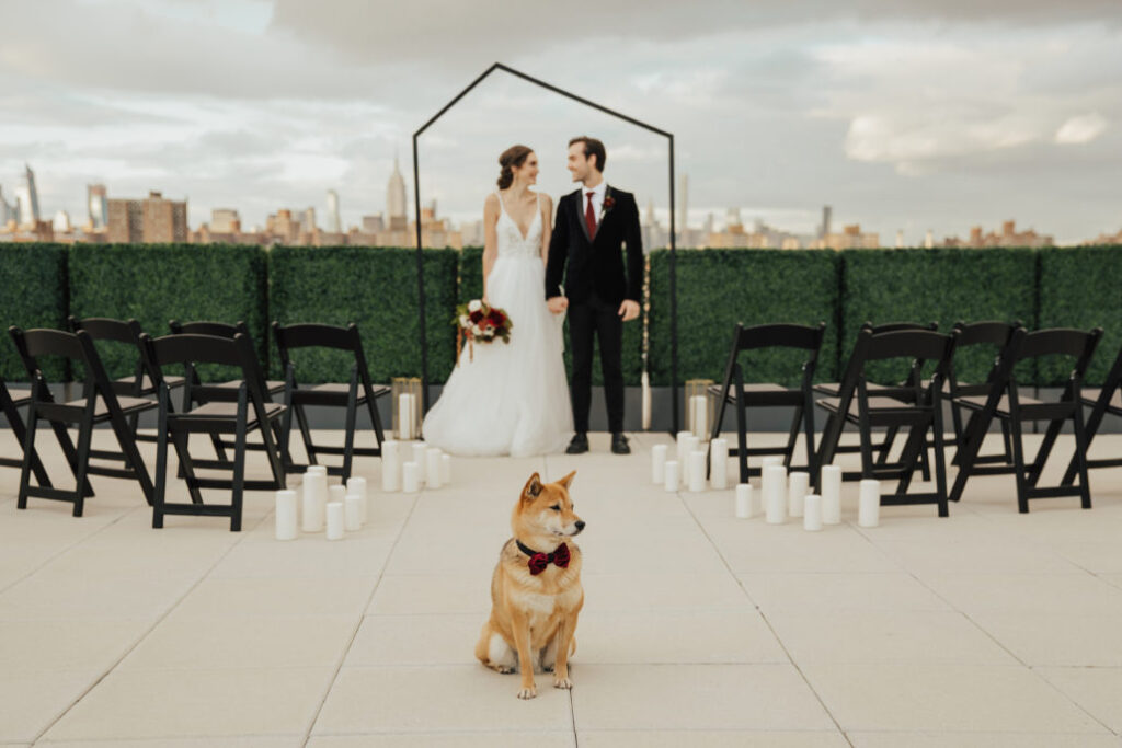 53bridge_071-1030x687